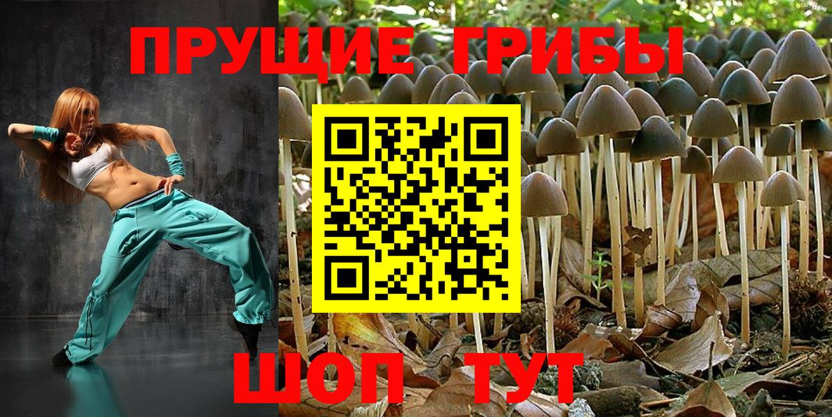 Псилоцибиновые грибы прущие грибы  Вход с VPN  Ирбит  купить   Галлюциногенные грибы ЛСД 